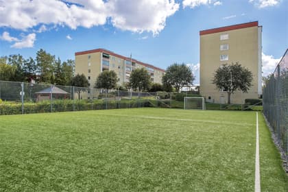 Bild av trädgården