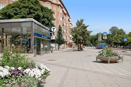 Bild av trädgården
