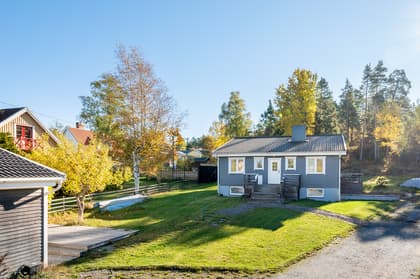 Bild av trädgården