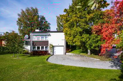 Bild av trädgården