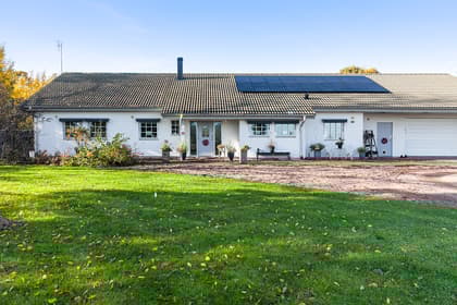 Bild av trädgården