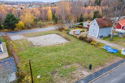 Bild av trädgården