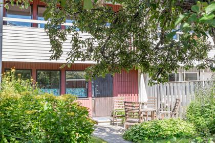 Bild av trädgården