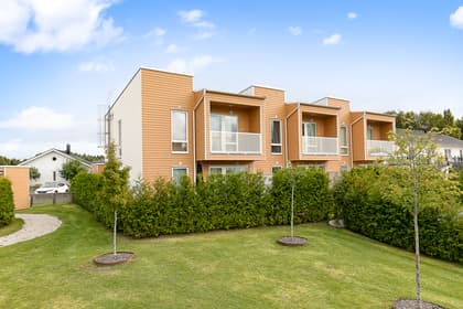 Bild av trädgården