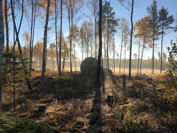 Jättekastet Årby 50, Hallstahammar