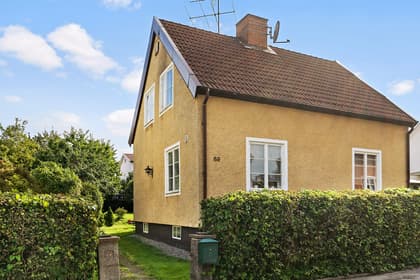 Bild av trädgården