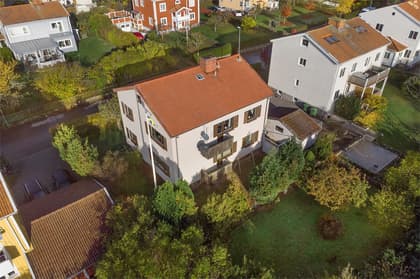 Bild av trädgården