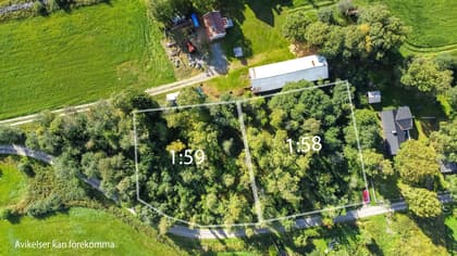 Bild av trädgården