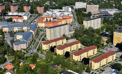 Bild av trädgården