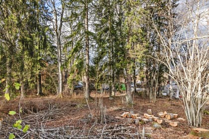 Bild av trädgården