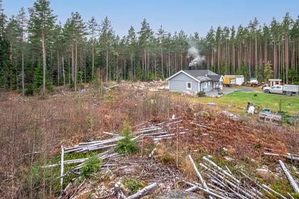 Bild av trädgården