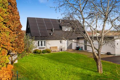 Bild av trädgården