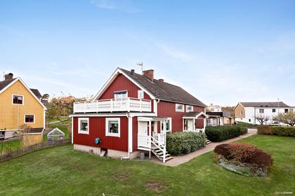 Bild av trädgården