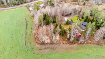 Bild av trädgården