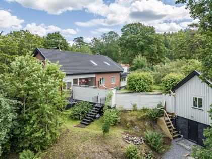 Bild av trädgården