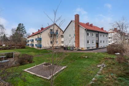 Bild av trädgården