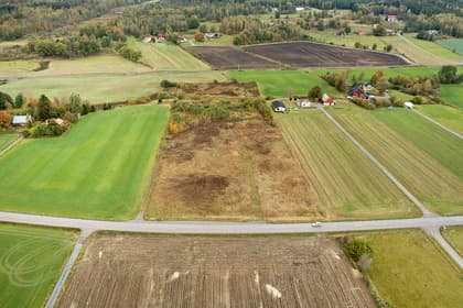 Bild av trädgården
