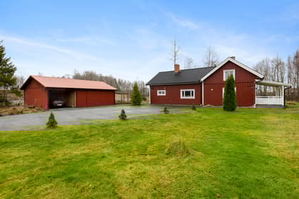 Bild av trädgården