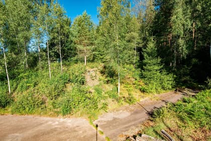 Bild av trädgården