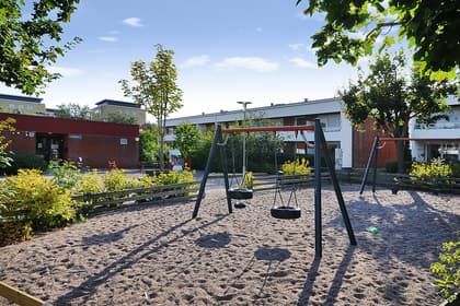 Bild av trädgården