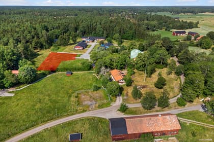 Bild av trädgården