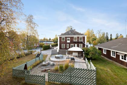 Bild av trädgården