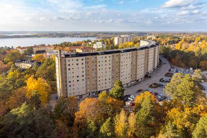 Bild av trädgården