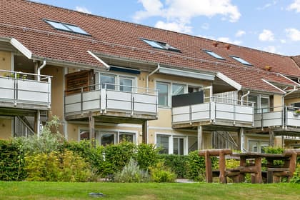 Bild av trädgården