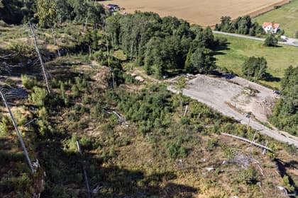 Bild av trädgården