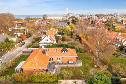 Bild av trädgården