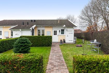 Bild av trädgården