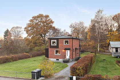 Bild av trädgården