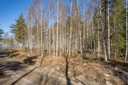 Bild av trädgården