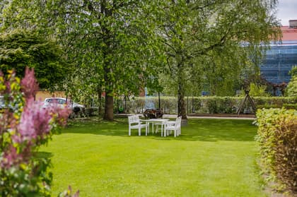 Bild av trädgården