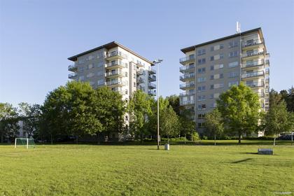 Bild av trädgården