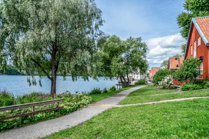 Bild av trädgården