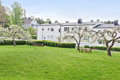 Bild av trädgården