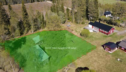 Bild av trädgården