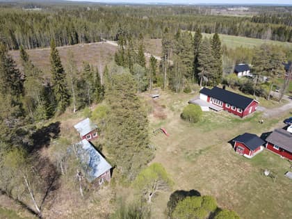 Bild av trädgården