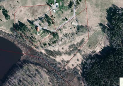 Bild av trädgården