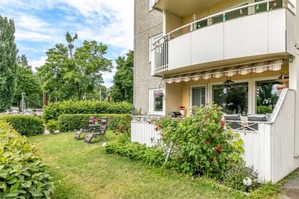 Bild av trädgården