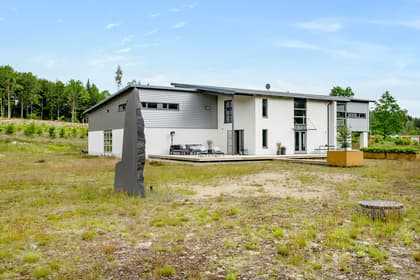 Bild av trädgården