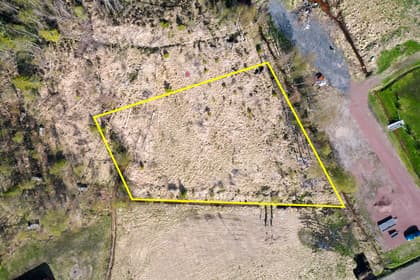 Bild av trädgården