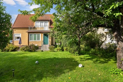 Bild av trädgården