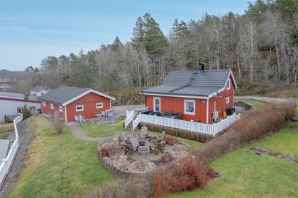 Bild av trädgården