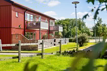 Bild av trädgården