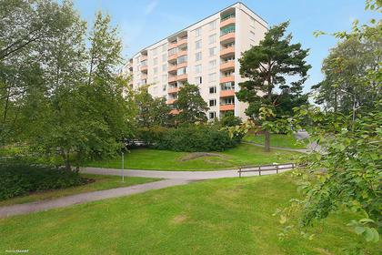 Bild av trädgården