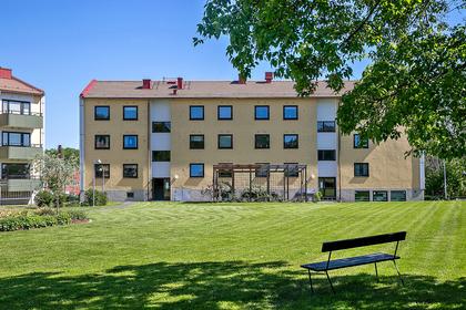 Bild av trädgården