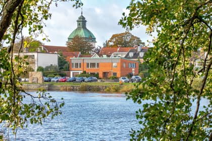 Bild av trädgården