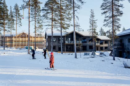 Bild av trädgården